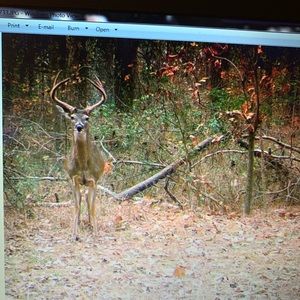 Meet your Posher, Brad